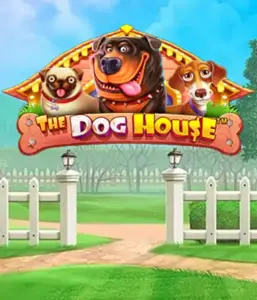 От Pragmatic Play представлен The Dog House, демонстрирующий очаровательное приключение с очаровательных собак. Наслаждайтесь игровых элементах включая липкие "вайлды", разработанных для доставления развлекательного геймплея. Идеально подходит для энтузиастов животных забавную тематику и возможностью выиграть крупно.