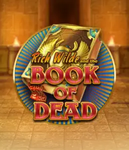 Начните захватывающий мир слота Book of Dead от Play'n GO, представляющий яркую графику путешествия Рича Уайлда по древнеегипетским гробницам и артефактам. Найдите затерянные богатства с пленяющими механиками, такими как бесплатные вращения, расширяющиеся символы и возможность игры на риск. Идеально для любителей приключений, желающих захватывающих открытий.